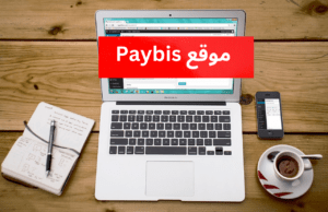 موقع Paybis